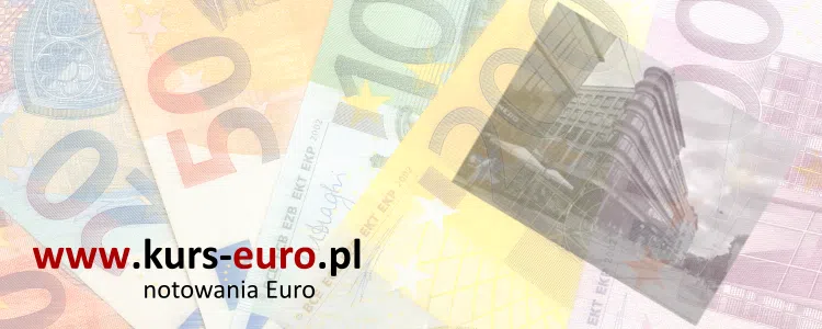 Euro exchange